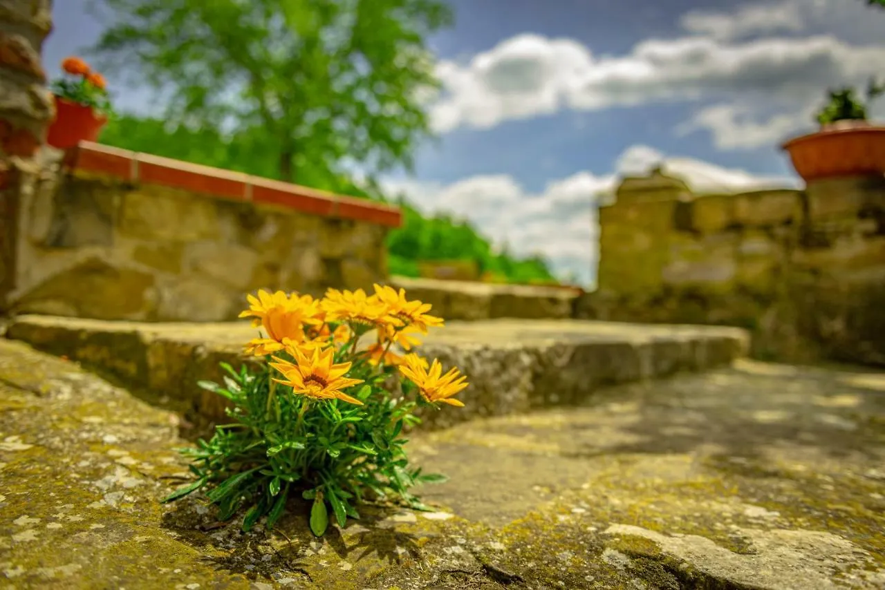 Affittacamere Casa Al Bosco SantʼEllero Casa di campagna